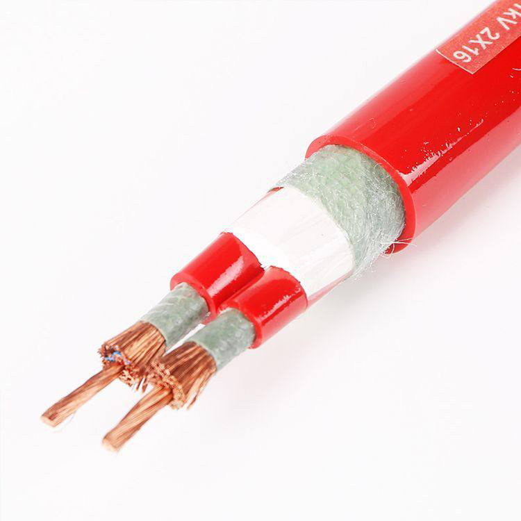 YGC 450/750V 2*16 耐高溫硅橡膠軟電纜 第1張